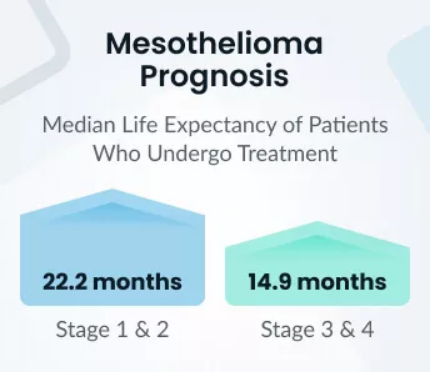 Stage 4 Mesothelioma Life Expectancy