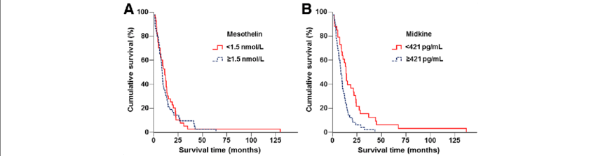 cancer mesothelioma survival rate