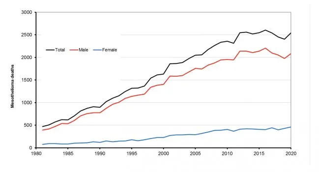 mesothelioma life expectancy after diagnosis