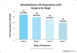 sarcomatoid mesothelioma survival rate