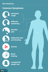 malignant pleural mesothelioma survival rate