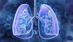 mesothelioma small cell lung cancer