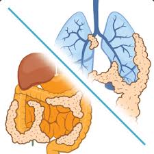 last stages of mesothelioma