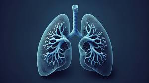 survival rate of mesothelioma patients