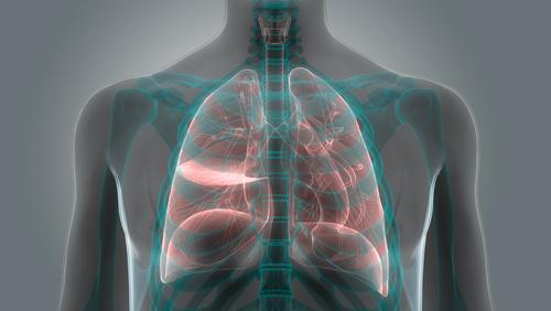 average settlement for mesothelioma cases