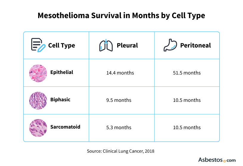 life expectancy with mesothelioma cancer